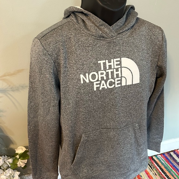 NEW The North Face Hoodie Sweatshirt Gray Medium - Picture 3 of 6